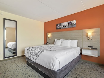 Suite, 1 King Bed, Non Smoking