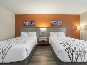 Standard Room, 2 Double Beds, Non Smoking