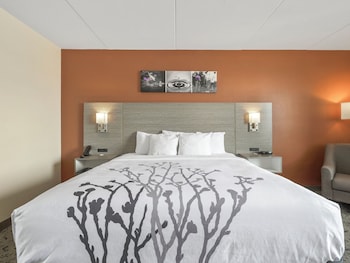 Suite, 1 King Bed, Non Smoking