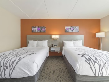 Standard Room, 2 Double Beds, Non Smoking