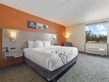 Suite, 1 King Bed, Non Smoking