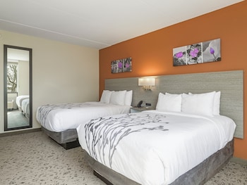 Standard Room, 2 Double Beds, Non Smoking