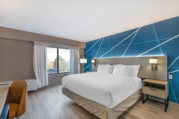 Room, 1 King Bed, Accessible, Non Smoking