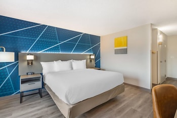 Room, 1 King Bed, Accessible, Non Smoking