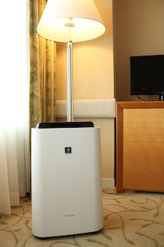 Single Room, Non Smoking