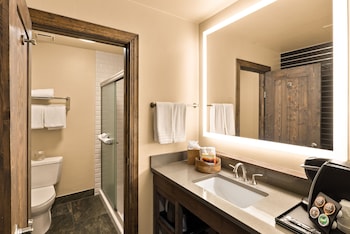 Premium Room, 1 King Bed, Mountain View (Courtyard)