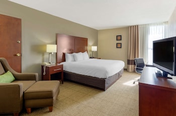 Room, 1 King Bed, Non Smoking