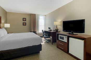 Room, 1 King Bed, Non Smoking