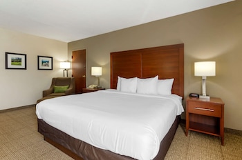 Room, 1 King Bed, Non Smoking