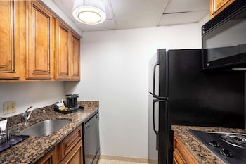 Studio Suite, 1 King Bed, Accessible (Roll-In Shower)