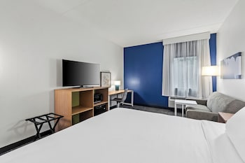 Room, 1 King Bed with Sofa bed