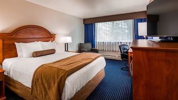 Business Room, 1 King Bed, Non Smoking, Microwave