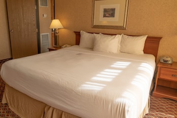Deluxe Suite, 1 King Bed, Non Smoking (One-Bedroom)