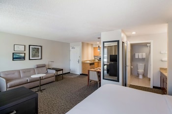 Studio Suite, 1 King Bed with Sofa bed