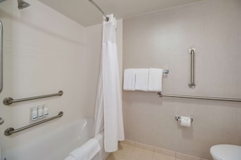 Suite, 1 King Bed with Sofa bed (One Bedroom)