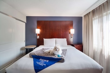 Suite, Multiple Beds, Accessible (Mobility Roll in Shower Two Bedrooms)