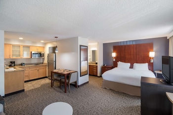 Studio Suite, 1 King Bed with Sofa bed