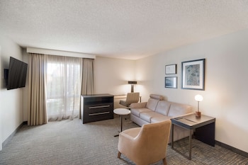 Suite, 1 King Bed with Sofa bed (One Bedroom)