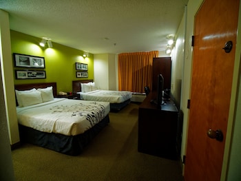 Standard Double Room, 2 Double Beds, Non Smoking
