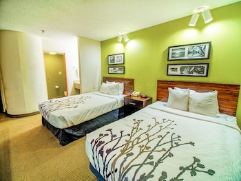 Standard Double Room, 2 Double Beds, Non Smoking