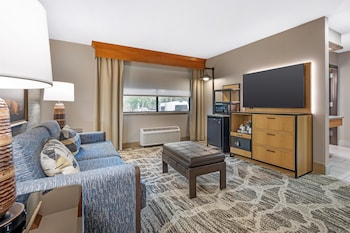 Standard Room, 1 King Bed, Accessible, Non Smoking (with Sofabed)
