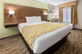Suite, 1 Bedroom, Non Smoking