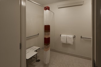 Deluxe Room, 1 King Bed, Accessible, Non Smoking (Roll-In Shower)