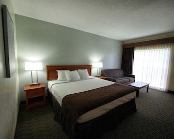 Room, 1 King Bed with Sofa bed
