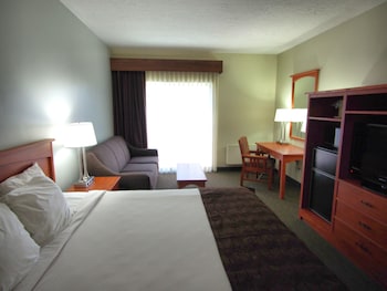 Room, 1 King Bed with Sofa bed