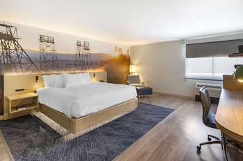Standard Room, 1 King Bed, Non Smoking, Refrigerator & Microwave (Shower Only;No Pets in room type)