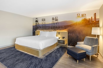Standard Room, 1 King Bed, Non Smoking, Refrigerator & Microwave (Shower Only;No Pets in room type)