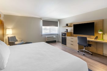 Standard Room, 1 King Bed, Non Smoking, Refrigerator & Microwave (Shower Only;No Pets in room type)