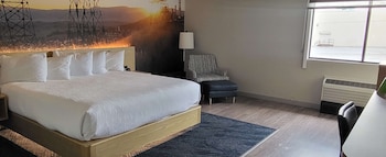 Suite, 1 King Bed, Non Smoking, Jetted Tub (No Pets in room type)