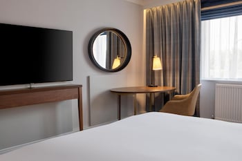 Room, 1 King Bed