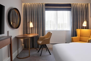 Room, 1 King Bed