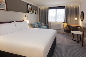 Room, 1 King Bed with Sofa bed
