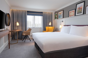Room, 1 King Bed