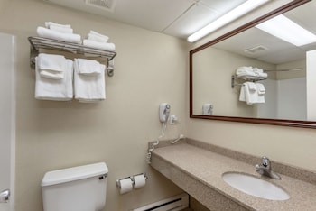 Room, 1 King Bed, Non Smoking (Upgrade)