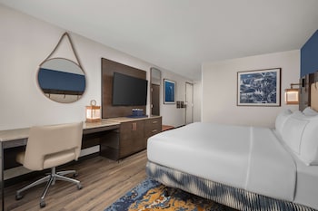 Room, 1 King Bed, Accessible (Roll-In Shower)