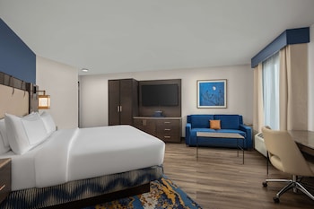 Room, 1 King Bed, Accessible, Bathtub