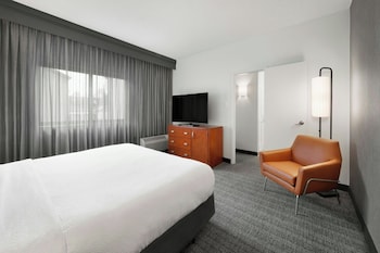 Suite, 1 King Bed with Sofa bed