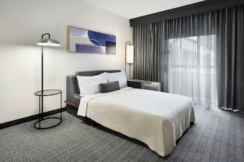 Suite, 1 King Bed with Sofa bed
