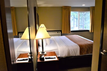 Standard Room, 1 King Bed, Non Smoking