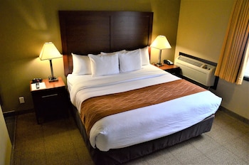 Standard Room, 1 King Bed, Non Smoking