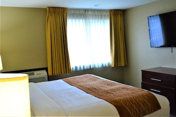 Standard Room, 1 King Bed, Non Smoking