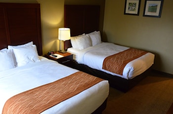 Room, 2 Queen Beds, Accessible Roll in Shower, Non Smoking