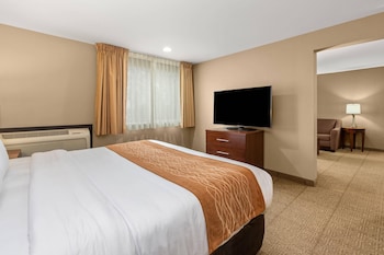 Standard Room, 1 King Bed, Non Smoking