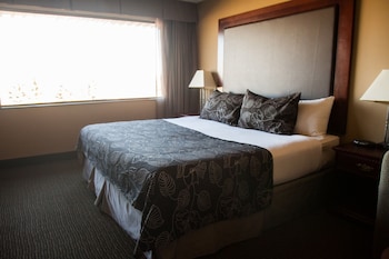 Room, 1 King Bed