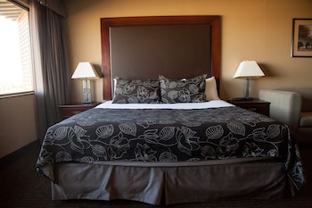 Room, 1 King Bed