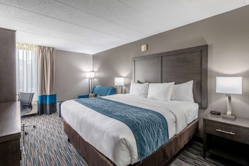 Standard Room, 1 King Bed, Non Smoking